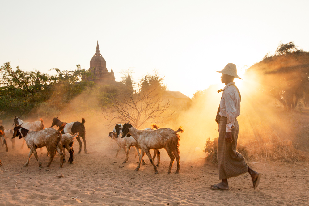 Bagan_130118-575_N