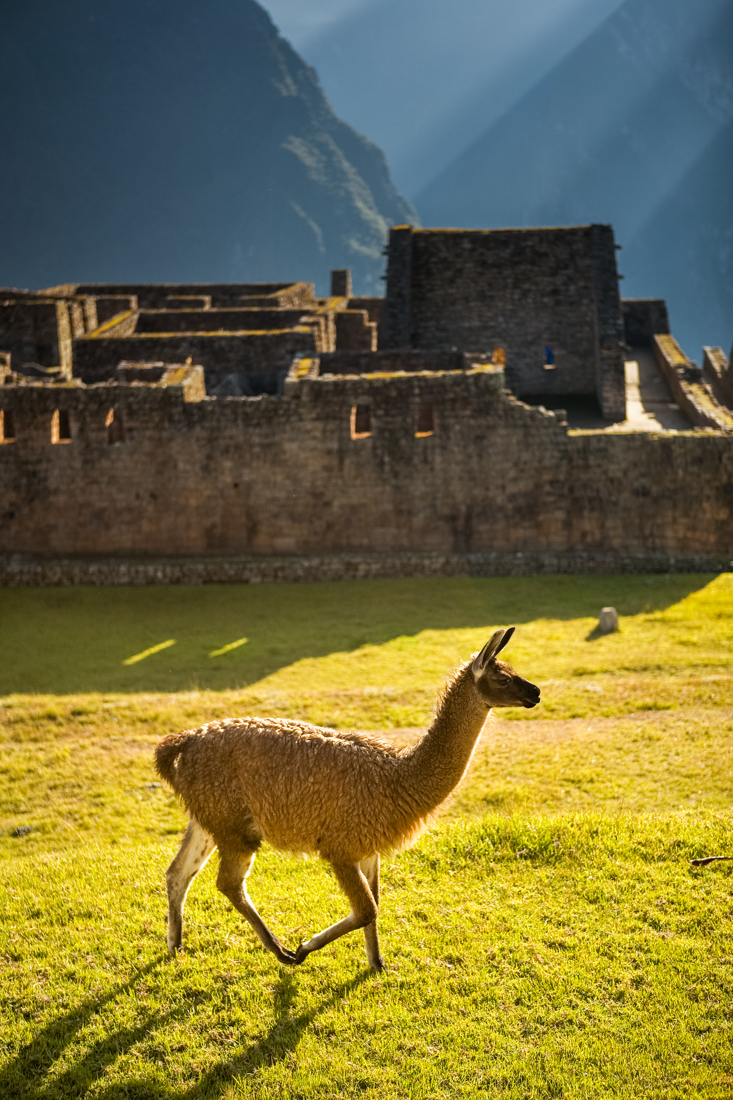 MachuPicchu_081011_67