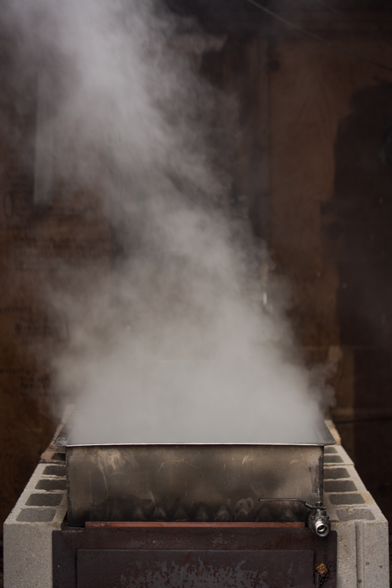 Maple_Syrup_140401-9