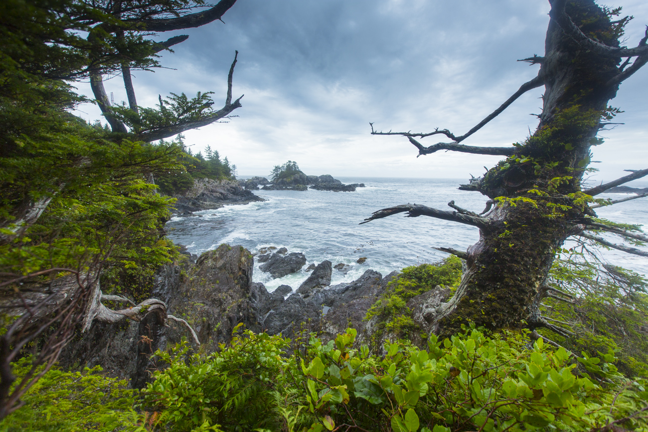 Ucluelet_Lighthouse_Trail_190912-224