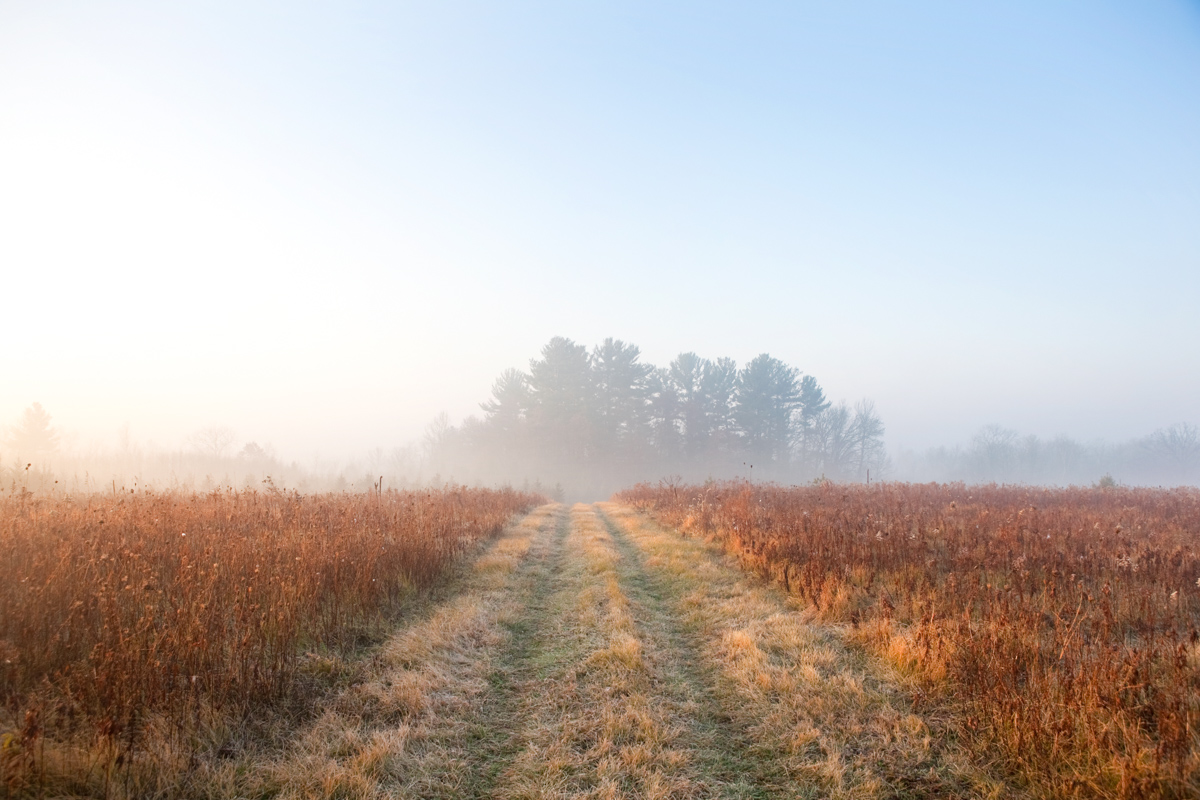 Wisconsin_101106154